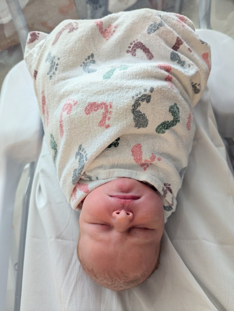 a baby, Vienna Reichart, swaddled tightly